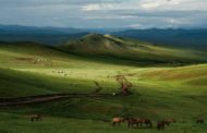 منغوليا .. سياحة من نوع آخر