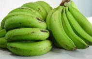 أهم فوائد الموز الأخضر على صحة الأنسان