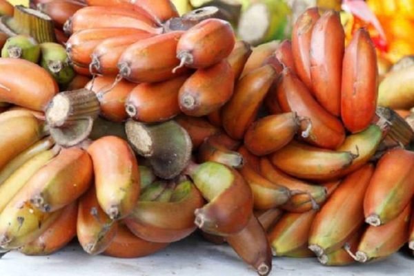 لا تدعي فوائد الموز الأحمر السحرية تفوتكِ