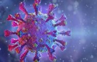 دراسة جديدة : متغير أوميكرون قد يقلل من خطورة فيروس كورونا فى المستقبل