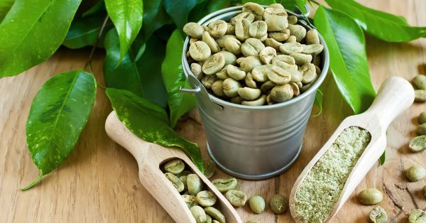 القهوة الخضراء لإنقاص الوزن
