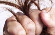 استعادة جمال الشعر.. دليلك لأشهر الزيوت الطبيعية لعلاج تقصف الشعر